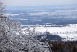 Stanisławów i wzgórze Rosocha na Dolnym Śląsku w zimowej szacie wyglądają jak kraina lodu. Widać stąd Legnicę i Lubin! [ZDJĘCIA]