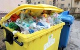 Kolejne zmiany w segregowaniu śmieci! Zobacz szczegóły 