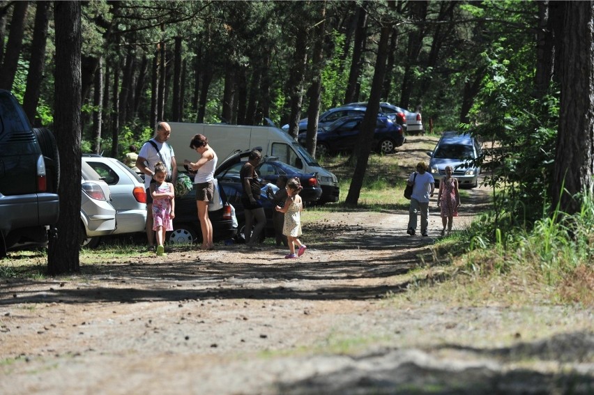 80 proc. z nas jako główny środek transportu podczas urlopu...