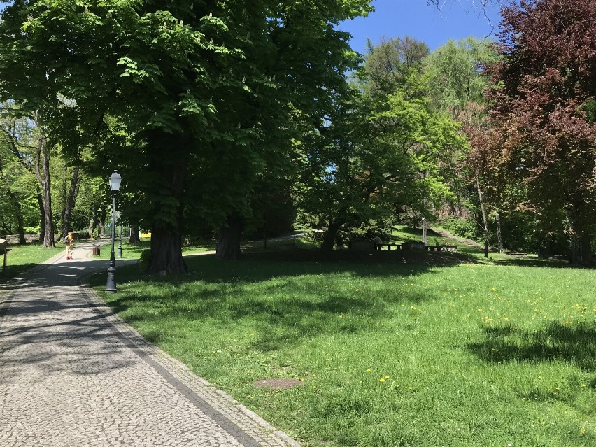 Park na wzgórzu zamkowym w Cieszynie