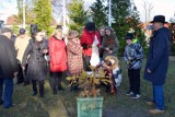 Mieszkańcy Zbąszynka posadzili kolejne drzewko w Alei Wolności na Wzgórzu. Sadzonka jest potomkiem Chrobrego, najstarszego dębu w Polsce