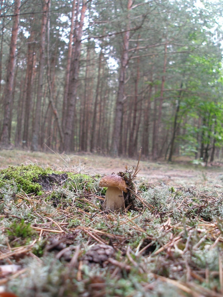 A ja mam tyle na głowie!