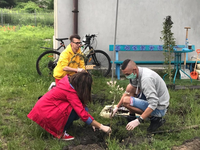 Sosnowiecki MOPS wspiera i organizuje różne akcje....