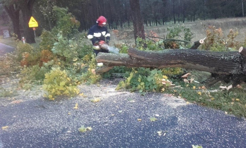 Pozrywane i uszkodzone dachy, połamane drzewa oraz zerwane...