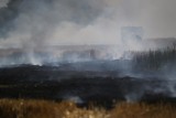 Duży pożar w Nowakach pod Nysą. Płonęła słoma na polu