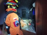 Wybuch gazu w Czechowicach-Dziedzicach. Policja ustala przyczynę eksplozji