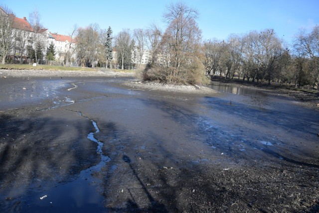 Woda została spuszczona ze stawu w Parku Róż, bo akwen ma zostać odmulony i oczyszczony.