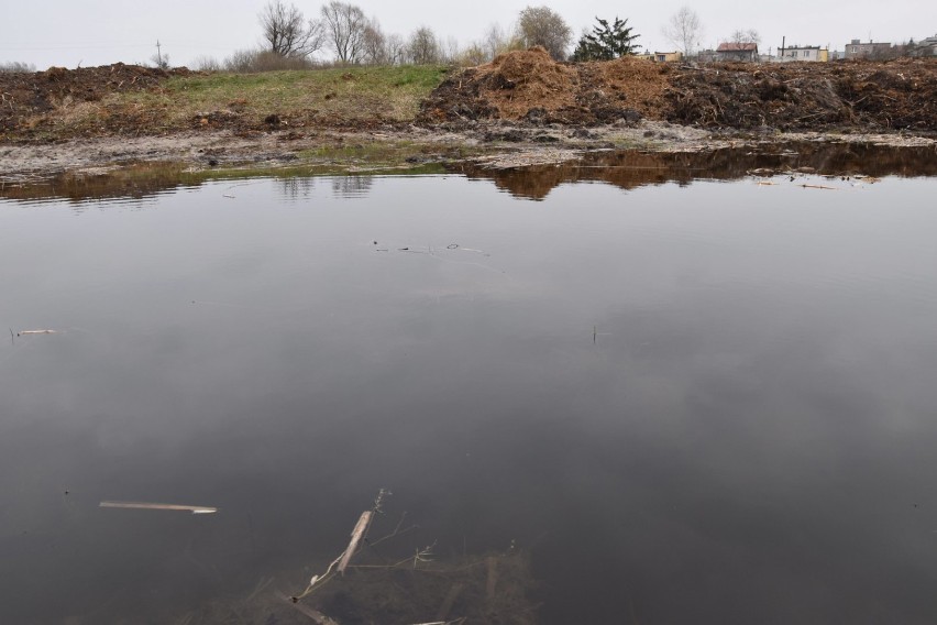 Plan miasta przedstawiający jezioro Zacisze.