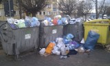 Śmieci w Rybniku od dziś sprząta nowa firma. Czy poradzi sobie z bałaganem? [ZDJĘCIA]