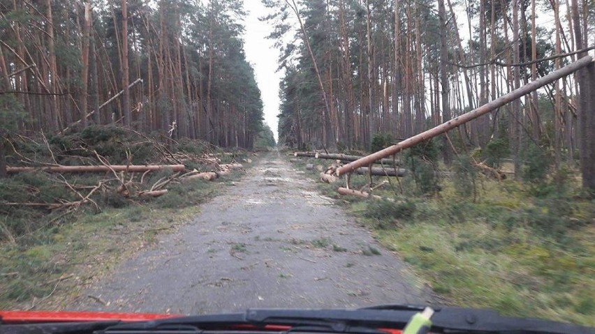 W  ciągu jednej doby, po burzy i nawałnicy, strażacy...