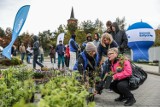 Sadzonki, mnóstwo atrakcji i ekologiczna misja. "Drzewko za surowce wtórne" odwiedziło Matarnię