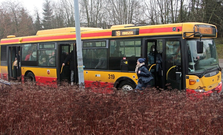 Od 20 marca 2022 zmieni się trasa autobusów linii nr 19 w...