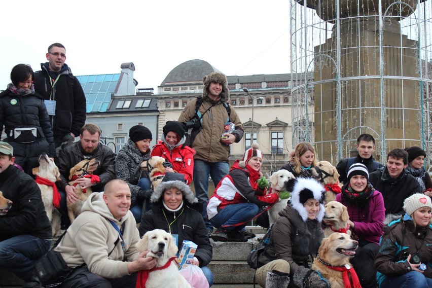 Właściciele golden-retrieverów