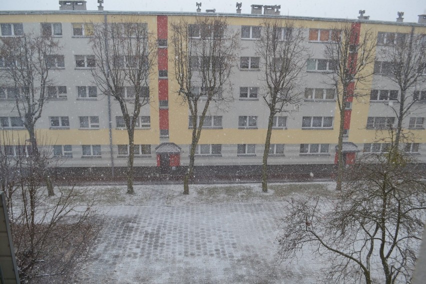 Pierwszy śnieg w Częstochowie. Padać może całą niedzielę [ZDJĘCIA]