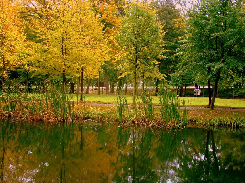 Jesień w parku przy ul.Sobieskiego