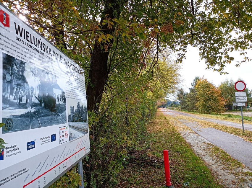 Nowa brama do wieluńskiego „botana”. Projekt przekazał ratuszowi szef osiedla FOTO