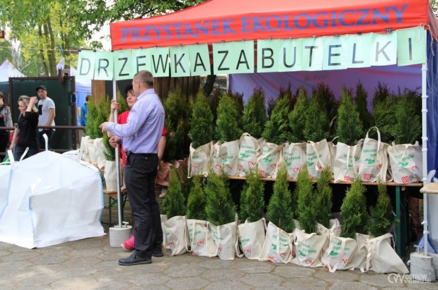 Ostrowianie oddali tysiące butelek za drzewka