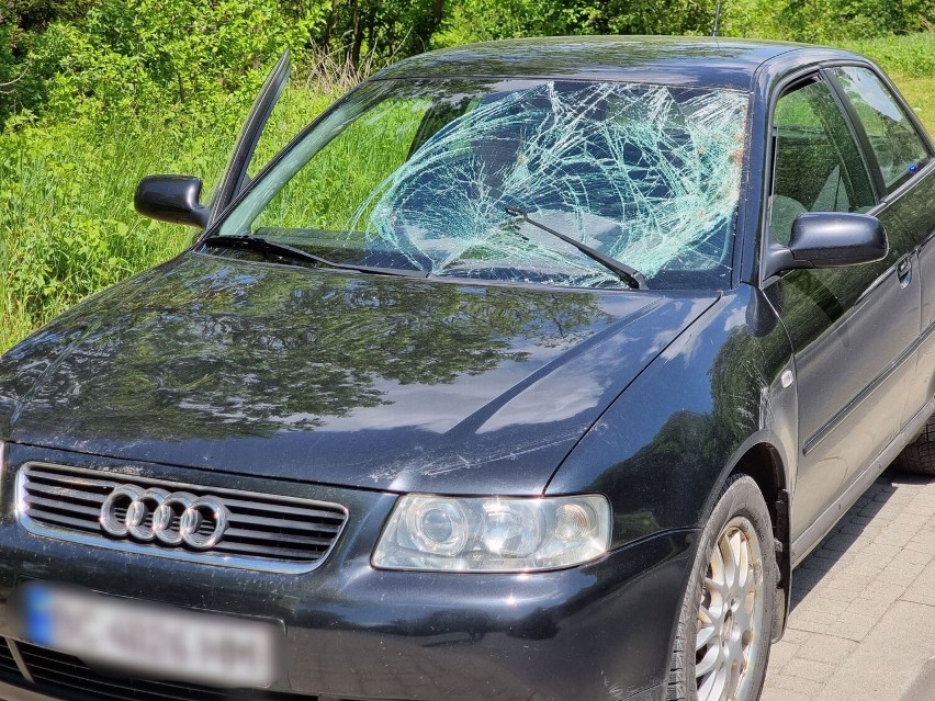 Na ul. Sanockiej w Przemyślu kierujący audi zderzył się z łanią. Weterynarz walczył o życie zwierzęcia [ZDJĘCIA]