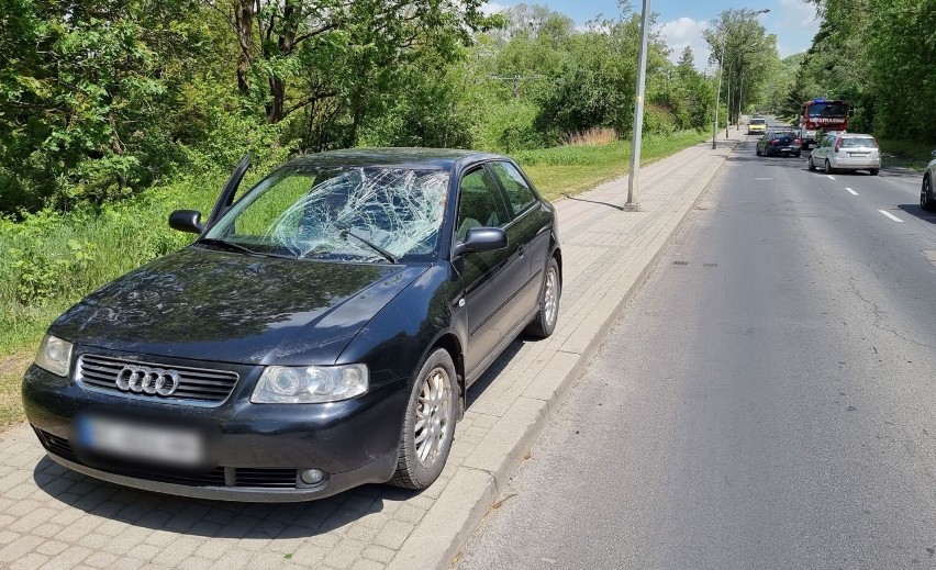 Na ul. Sanockiej w Przemyślu kierujący audi zderzył się z łanią. Weterynarz walczył o życie zwierzęcia [ZDJĘCIA]