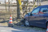 W podgrudziądzkim Gogolinie samochód uderzył w drzewo [wideo, zdjęcia]