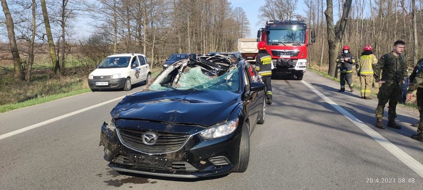 Wypadek w podwarszawskiej Wólce Radzymińskiej. Groźne zderzenie samochodu z łosiem. Kierowca w szpitalu