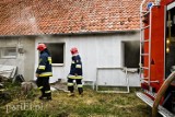 Pożar w Nowakowie. Palił się dom jednorodzinny [ZDJĘCIA]