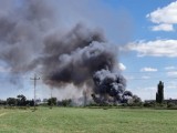 Pożar składowiska odpadów w Kutnie. Niebezpieczne odpady paliły się na wysypisku przy Majdany w Kutnie