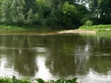 Tam gdzie spotykają się dwie rzeki: ujście Wełny [Zdjęcie]