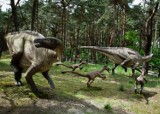 W Myślęcinku pojawią się dinozaury