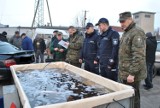 Bełchatów: policja skontrolowała punkty sprzedaży ryb
