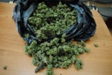 Łódzcy policjanci zatrzymali 40- latka za posiadanie 15 kg marihuany. 