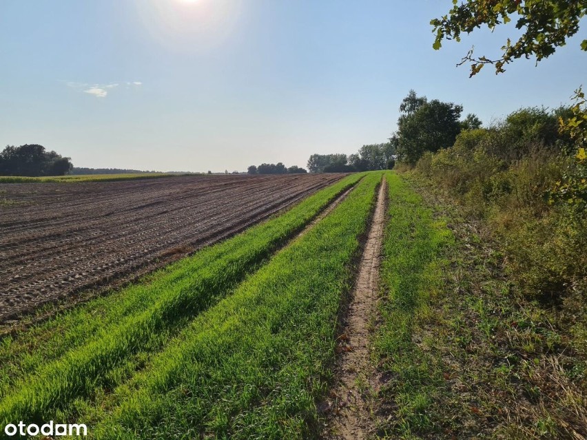 Powierzchnia: 1000 m²

Cena: 50 000 zł


Zobacz ogłoszenie