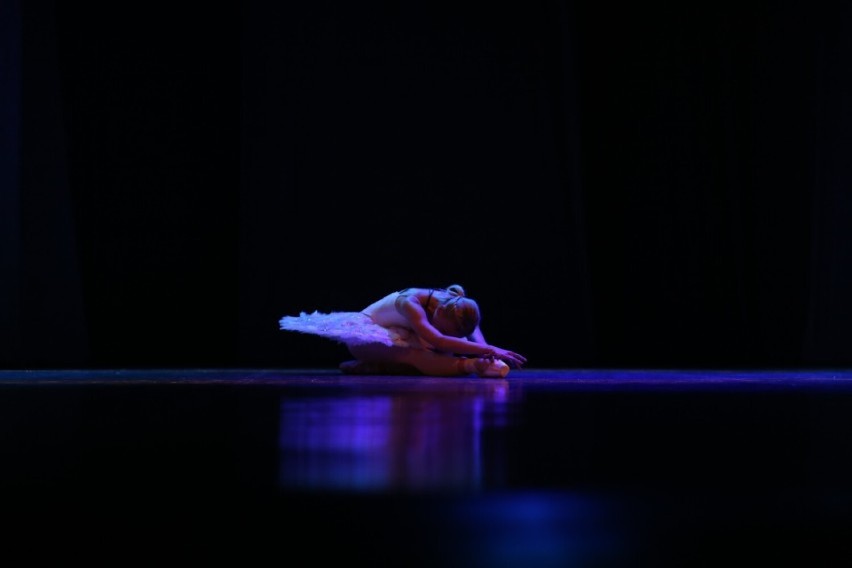 Międzynarodowy Dzień Tańca w Bytomiu: Gala Baletowa i spektakle w Teatrze Rozbark
