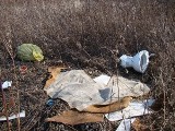 Nowy Sącz: miasto walczy w dzikimi wysypiskami śmieci