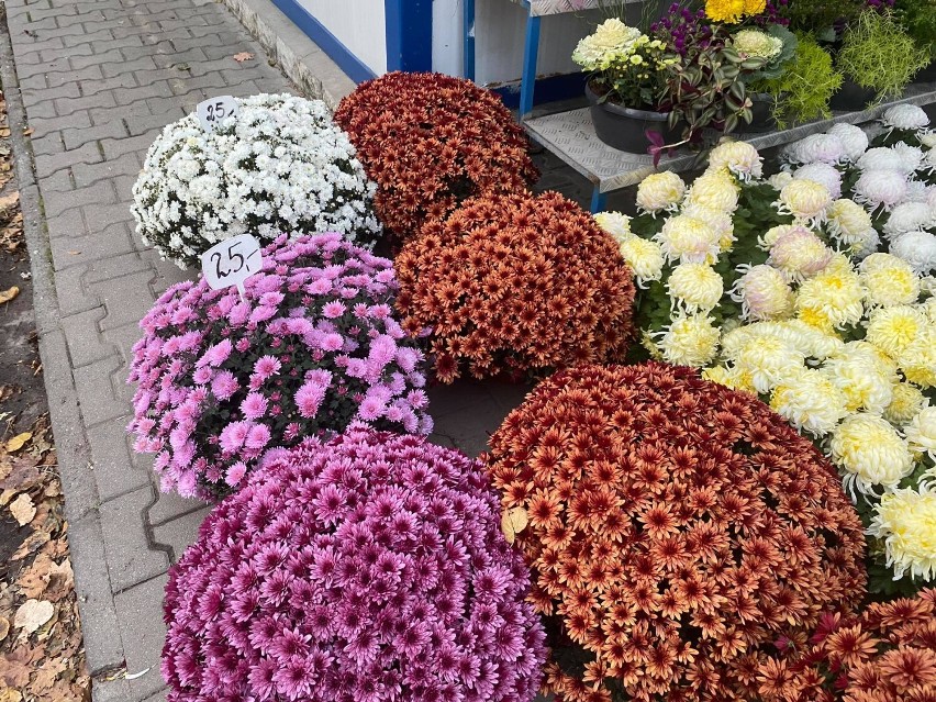Ceny zniczy i kwiatów w okolicach cmentarzy i w sklepach w Oleśnicy i Sycowie. Po ile kupimy chryzantemy i stroiki? (29.10)