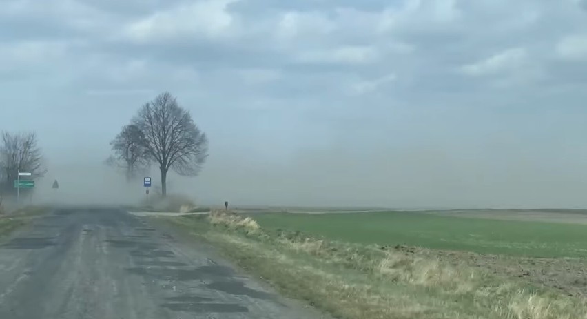 Burza piaskowa w Pleszewie. Nie był to jednak pył znad...