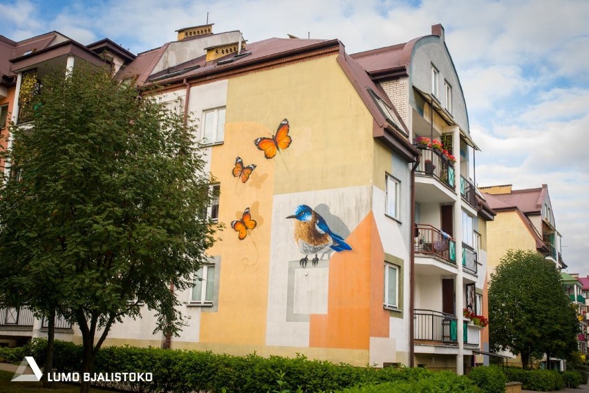 Nowy mural w Białymstoku. Motylki i ptak na Pogodnej [ZDJĘCIA]