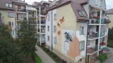 Nowy mural w Białymstoku. Motylki i ptak na Pogodnej [ZDJĘCIA]