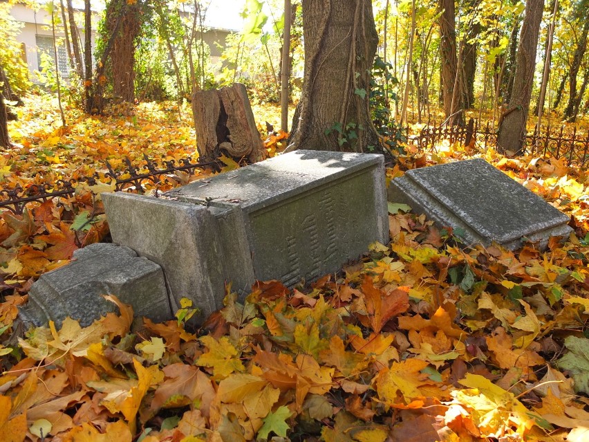 Cmentarze dla ofiar cholery zawsze były lokowane poza...