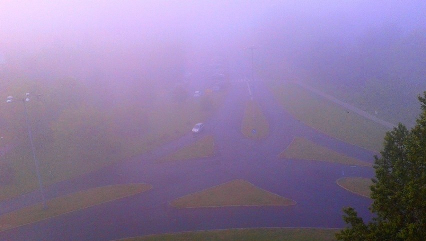 Poranna mgła nad  Rubinkowem  w Toruniu