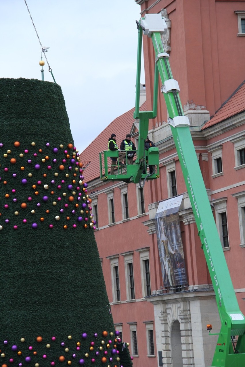 Miejska choinka stanęła na Placu Zamkowym [ZDJĘCIA]