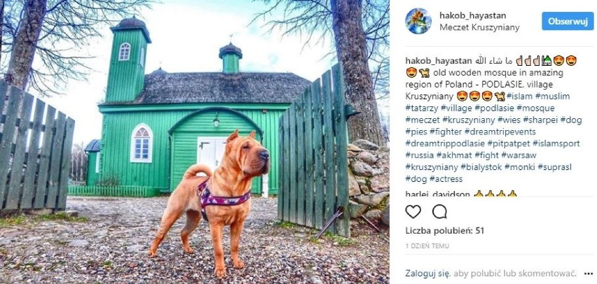Pana pies reklamuje Białystok! W internecie, na Instagramie...
