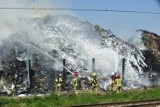 Pożar w Przysiecie Polskiej. Znów płoną śmieci