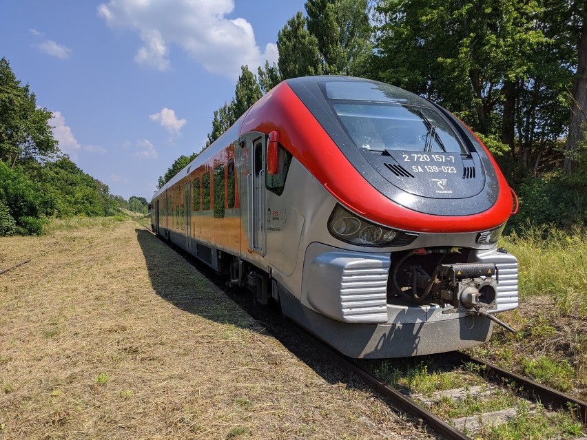 Pociąg z Zielonej Góry do Łagowa (8.08.2020) cieszył się...