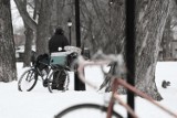 Niskie temperatury szczególnie groźne dla bezdomnych. Uratuj mu życie i powiadom policję!