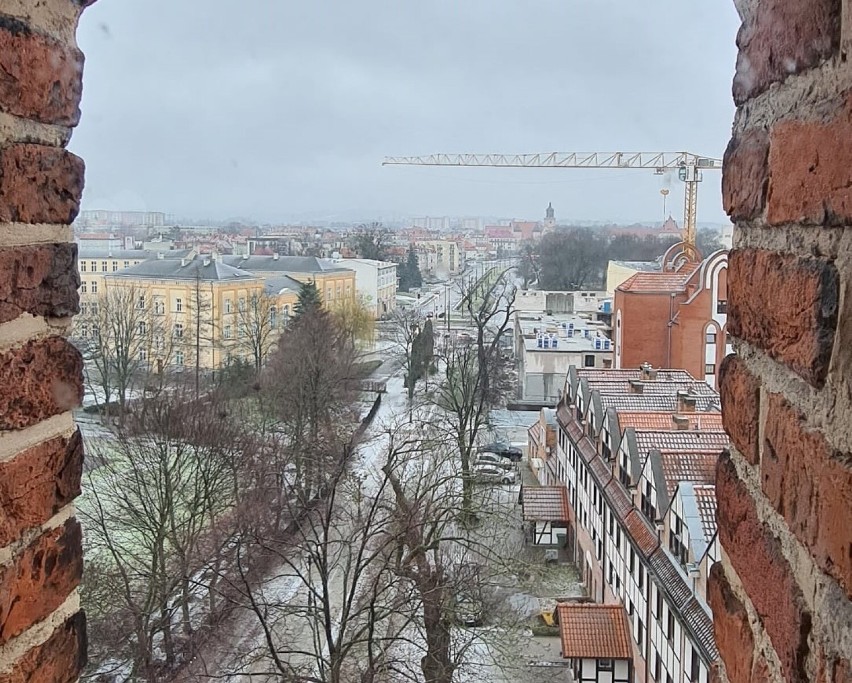 Elbląg. W ten poniedziałek: porozmawiaj z rycerzem, zwiedź Bramę Targową i nie tylko