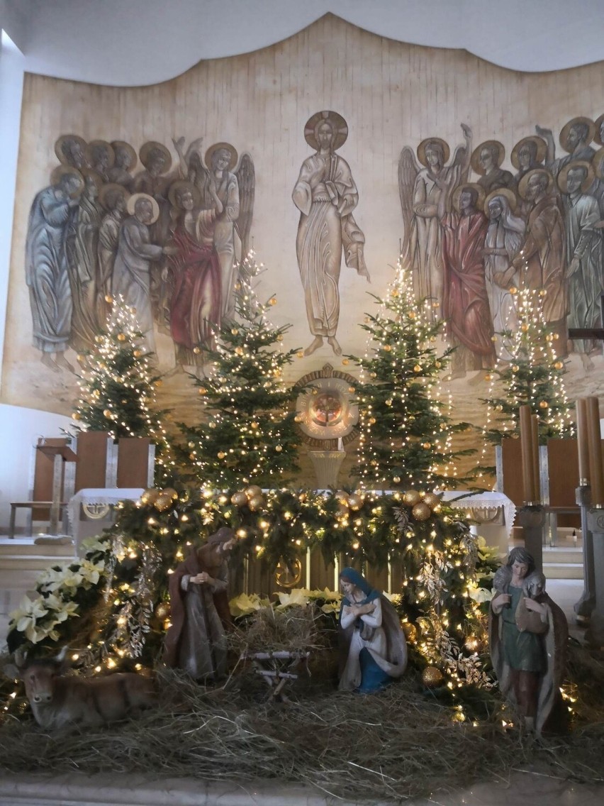 Bożonarodzeniowy wystrój w kościele pod wezwaniem Brata Alberta w Busku-Zdroju. Zobacz zdjęcia