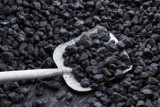 Czy gminom udało się sprzedać rządowy węgiel? Jak sytuacja wygląda w Kaliszu?