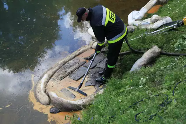 Substancja ropopochodna w stawie w parku nad Jasieniem w Łodzi