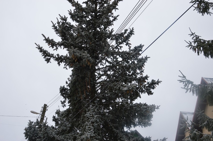 Burza śnieżna przeszła nad Skierniewicami i powiatem. Zerwane dachy i nieprzejezdne drogi